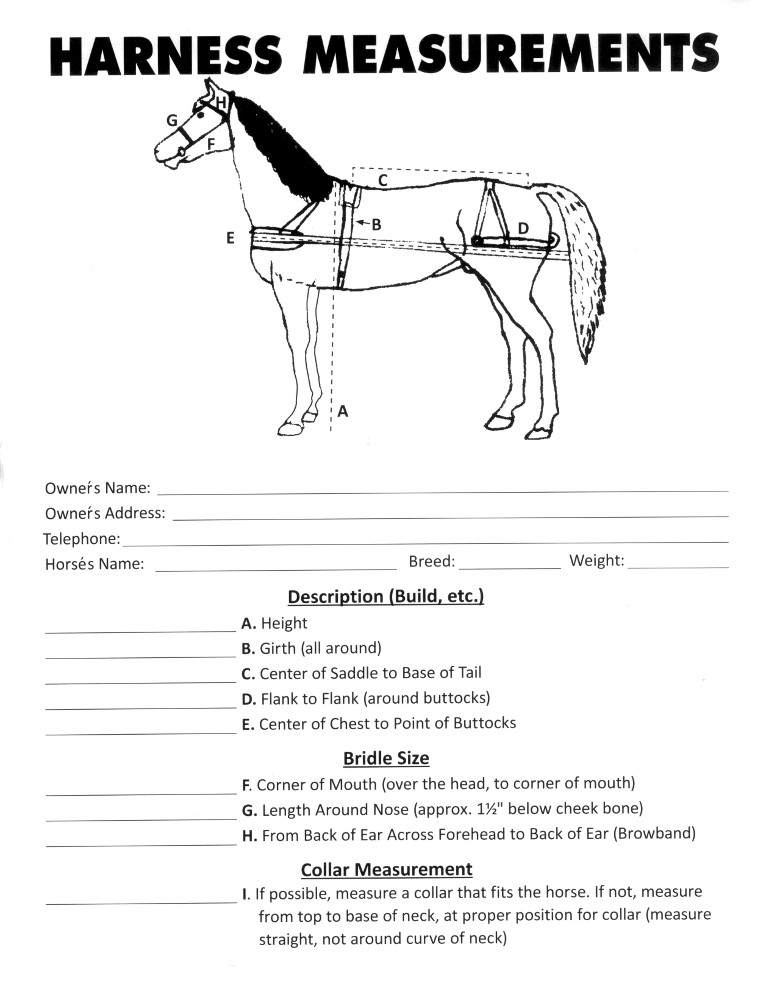 Horse Measurement Chart